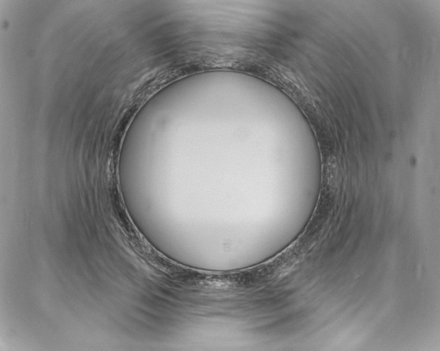 X0000087380741200704200842
