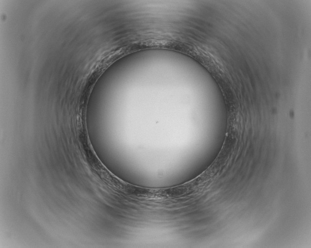 X0000087380743200704200842
