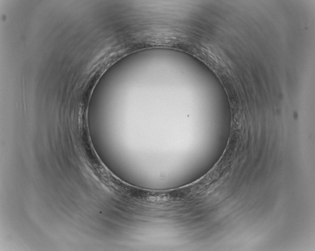 X0000087380744200704200842