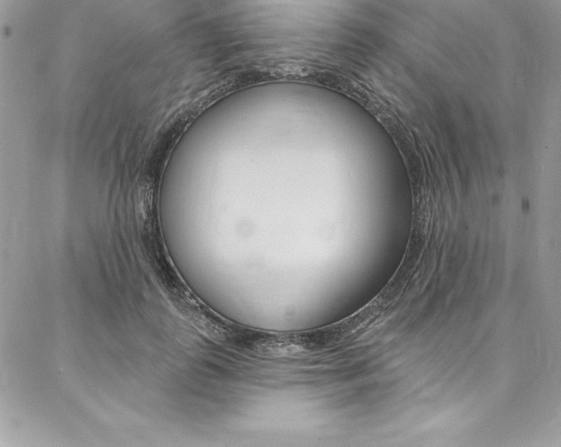X0000087380747200704200842