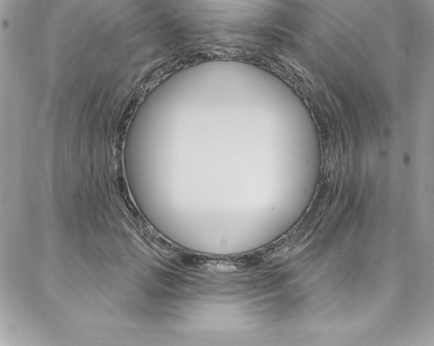 X0000087380749200704200842