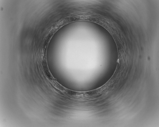 X0000087380752200704200842