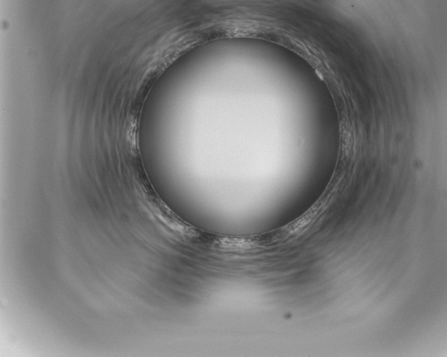 X0000087380766200704200843