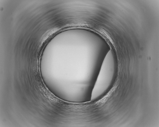 X0000087380781200704200842