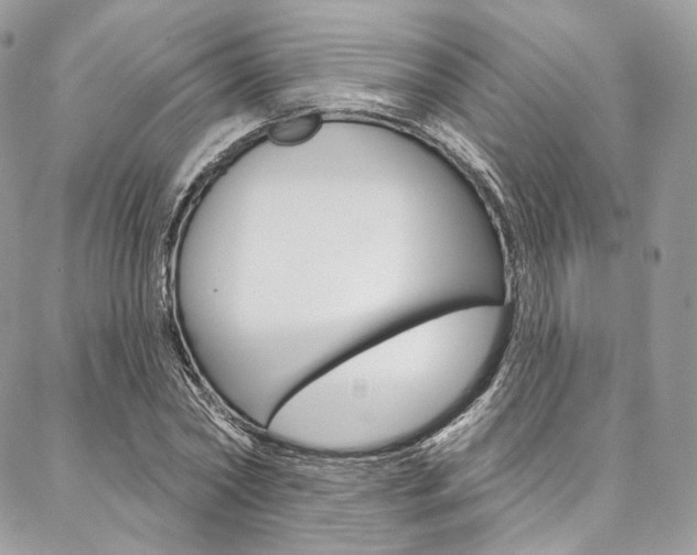 X0000087380782200704200842