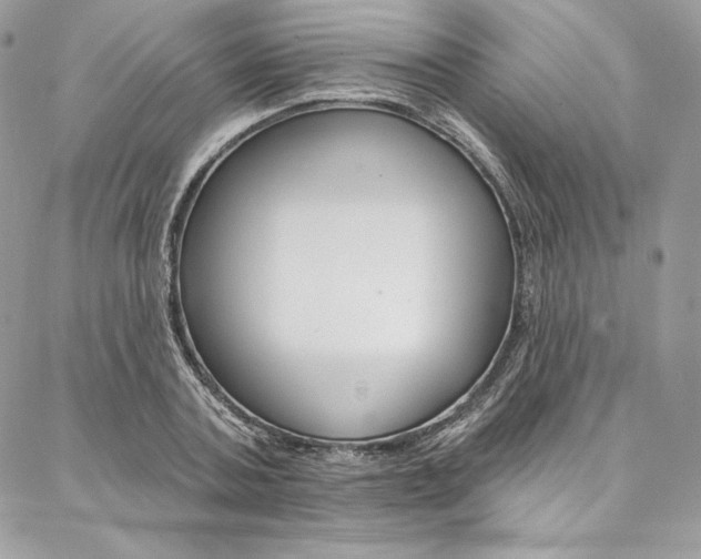 X0000087380787200704200841