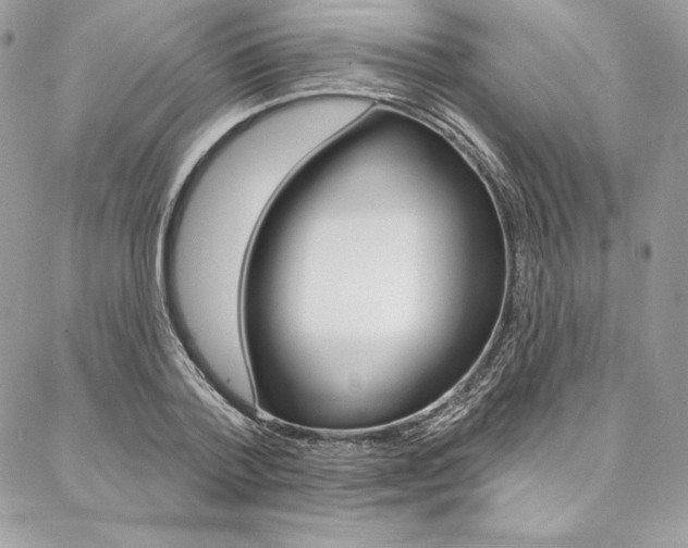 X0000087380788200704200841
