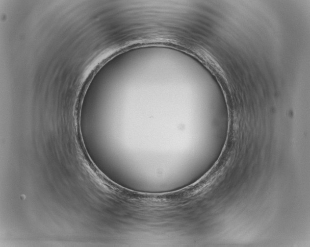 X0000087380789200704200841