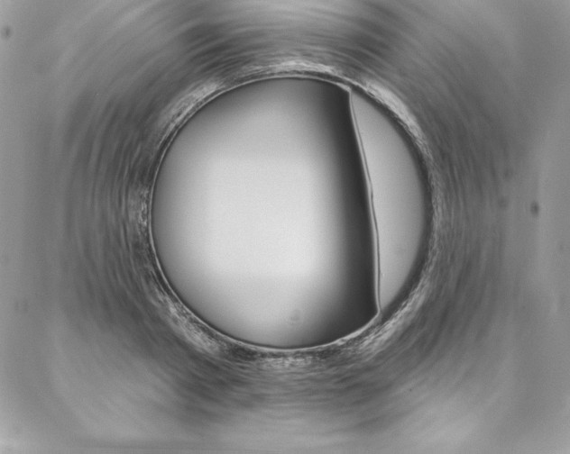 X0000087380793200704200841