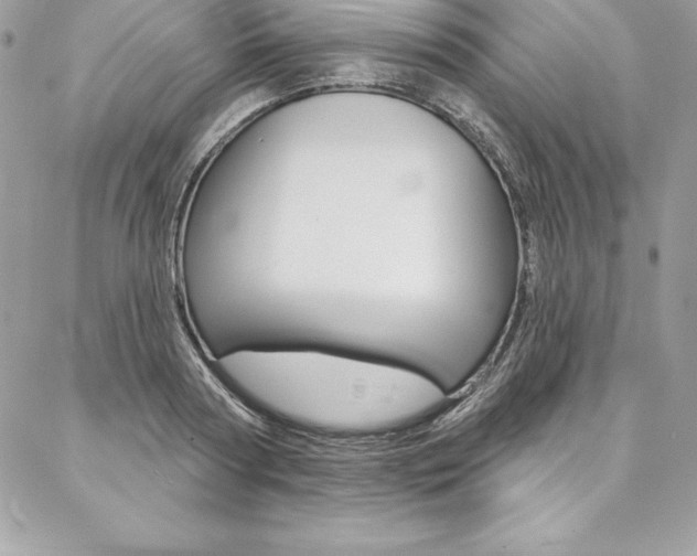 X0000087380794200704200841