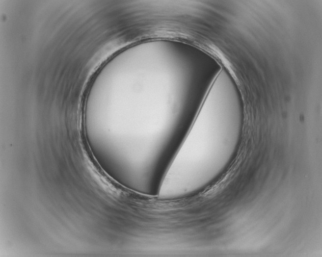 X0000087380795200704200841