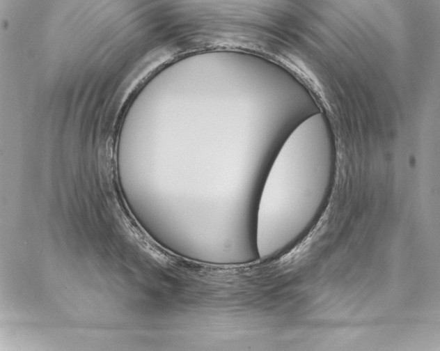 X0000087380798200704200841
