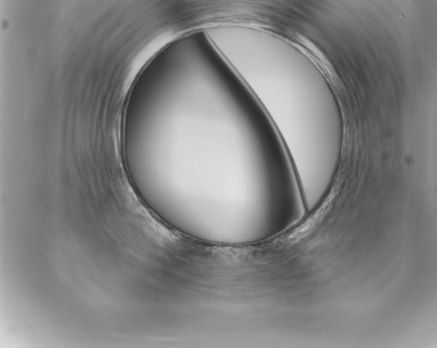 X0000087380812200704200841