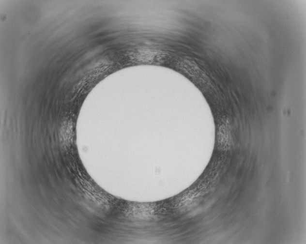 X0000087380820200704200840