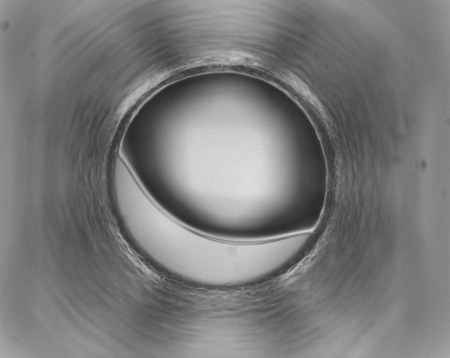 X0000087380834200704200840