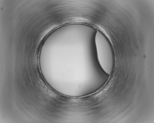 X0000087380835200704200841