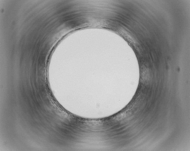 X0000087380836200704200841