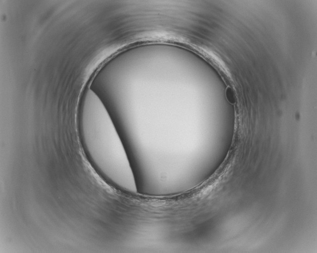 X0000087380839200704200841