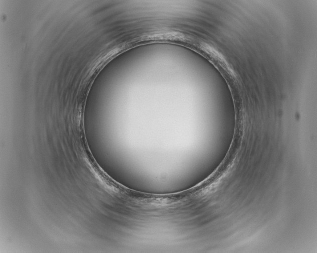 X0000087380841200704200841