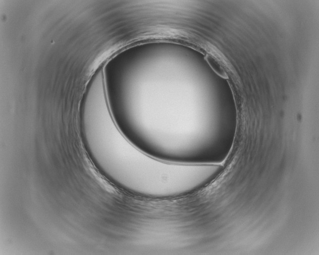 X0000087380842200704200841