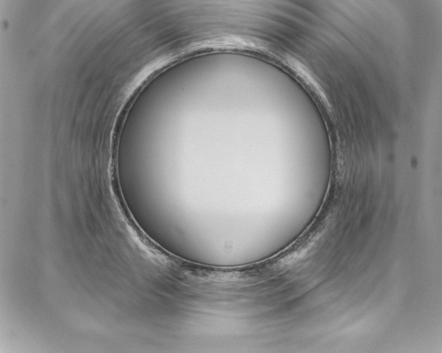 X0000087380845200704200841
