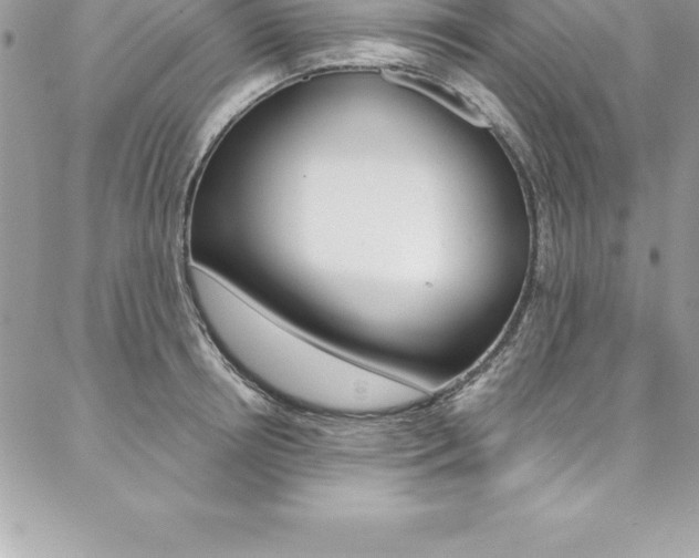 X0000087380850200704200841