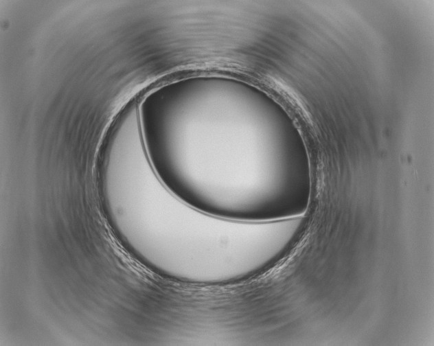 X0000087380876200704200840