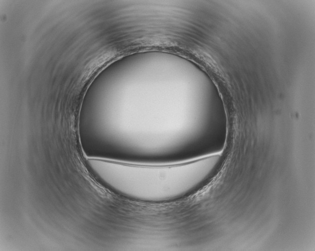 X0000087380881200704200840