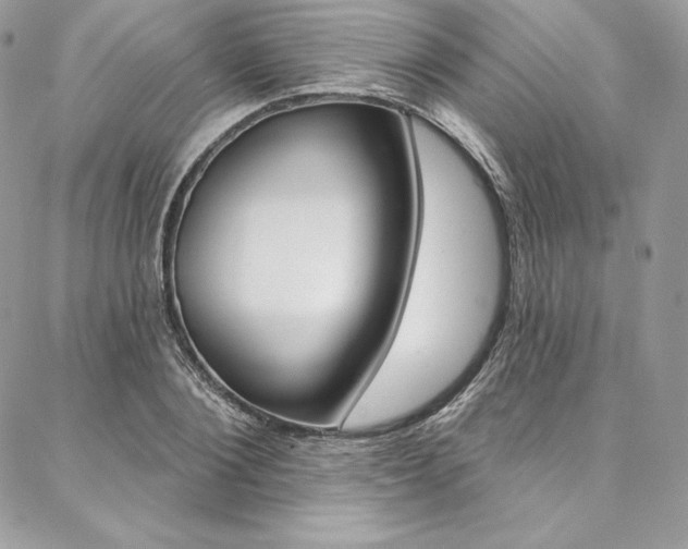 X0000087380884200704200840