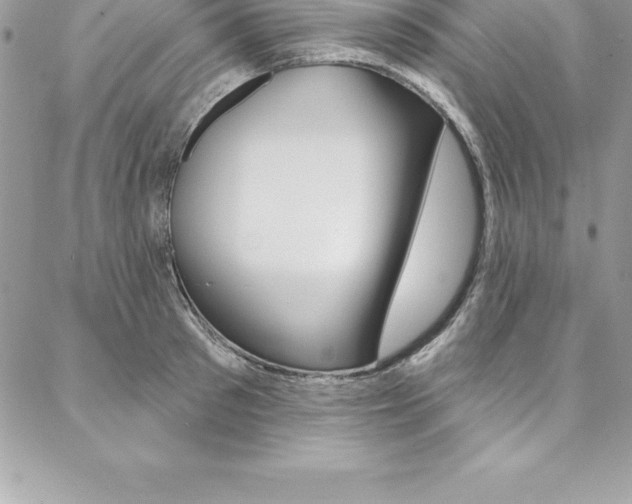 X0000087380897200704200840