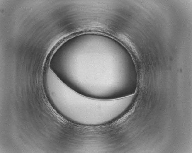 X0000087380924200704200839