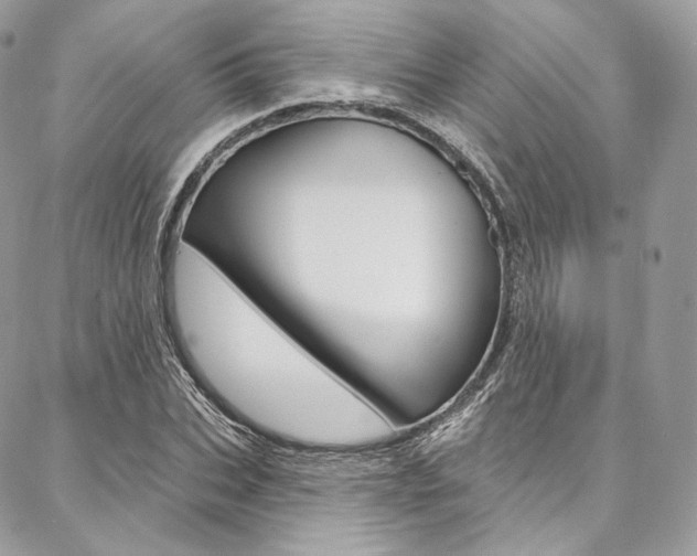 X0000087380927200704200839