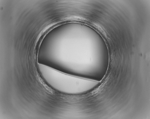 X0000087380931200704200839