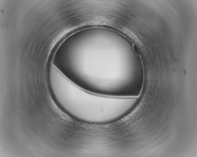 X0000087380934200704200839
