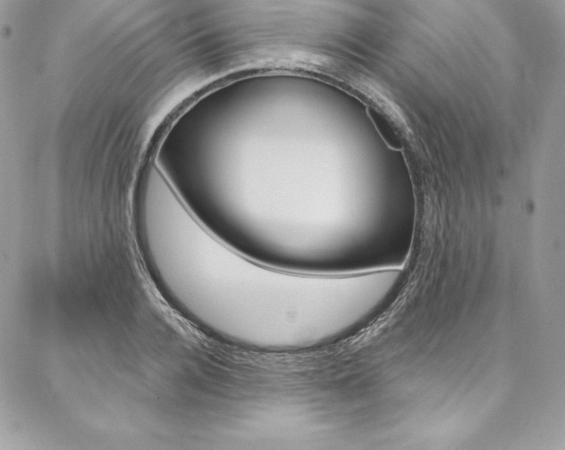 X0000087380936200704200839