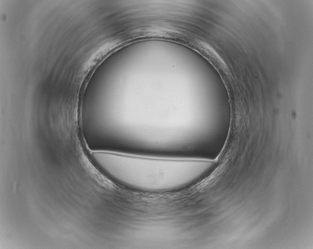 X0000087380938200704200839