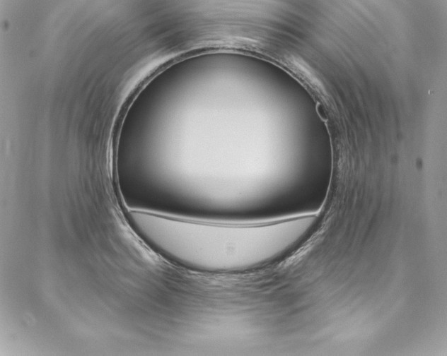 X0000087380940200704200839