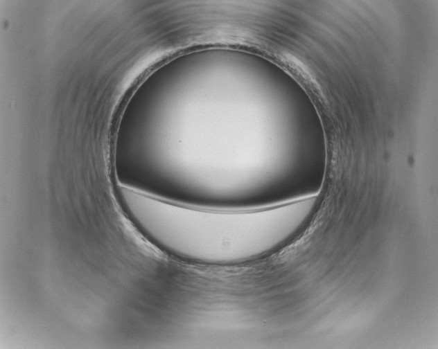 X0000087380942200704200839