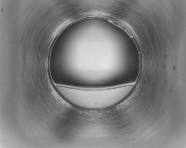 X0000087380946200704200839