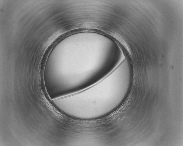 X0000087380972200704200838