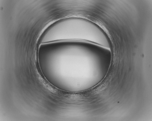 X0000087380984200704200838