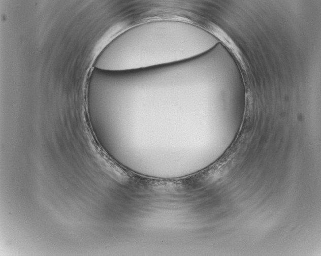 X0000087381002200704200838