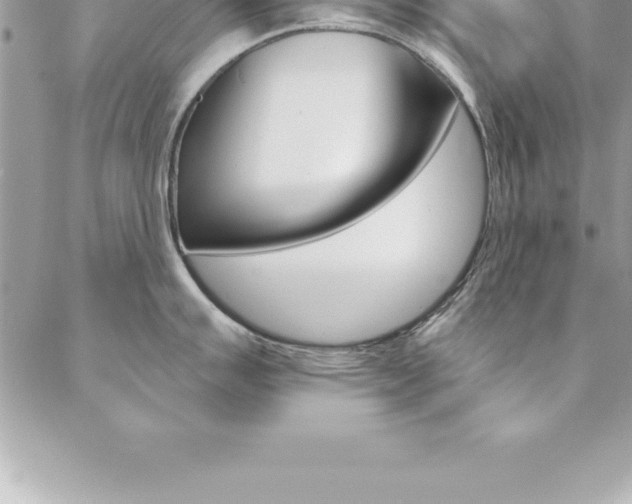 X0000087381007200704200838