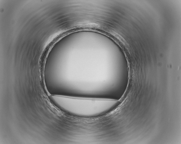X0000087381022200704200837
