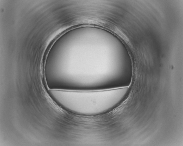 X0000087381028200704200837