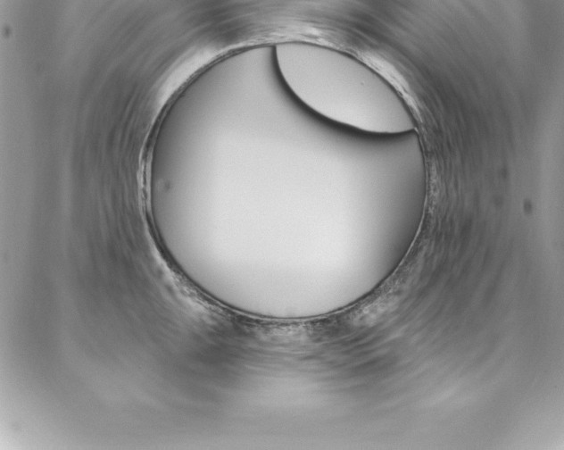 X0000087381047200704200838