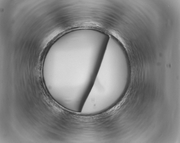 X0000087381071200704200837