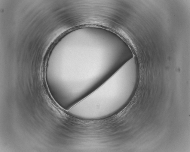 X0000087381076200704200837