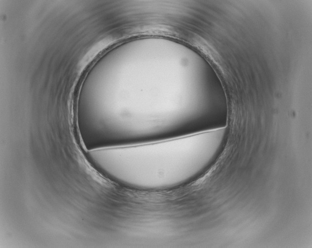 X0000087381082200704200837