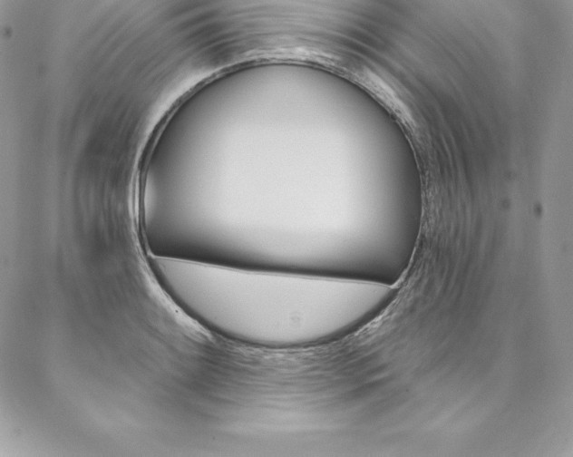 X0000087381084200704200837